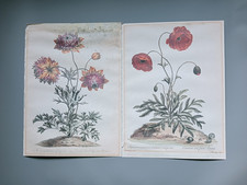 2 Antique Botanical Book