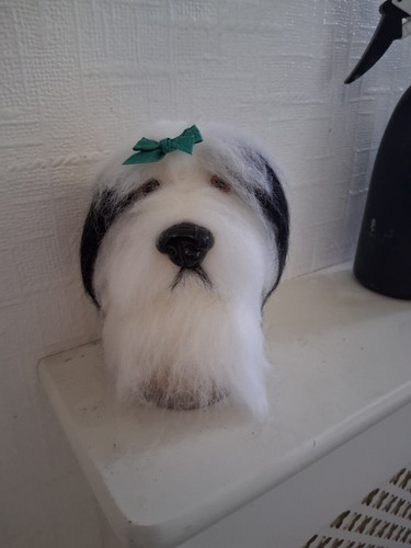 Dulux bearded collie dog - bearded,