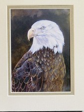 Jacqueline Verge Thunderbird Eagle Print Wilderness Reflections Double Matted