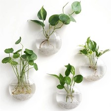 Wall hanging glass terrarium - hanging,