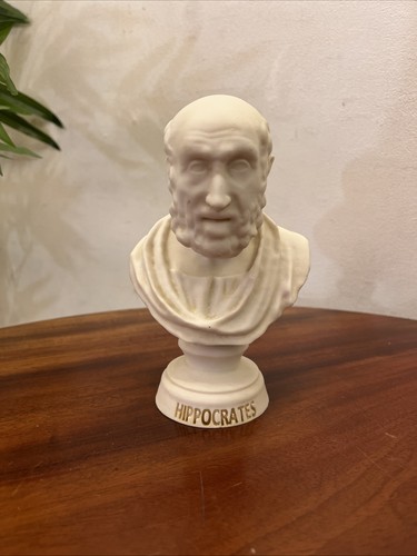 Hippocrates bust greek father - bust,
