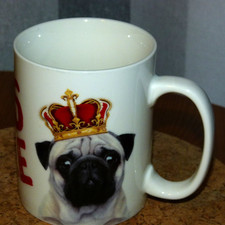 Century House Large Pug Story