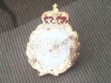Queens Bays Lapel Military Pin Badge