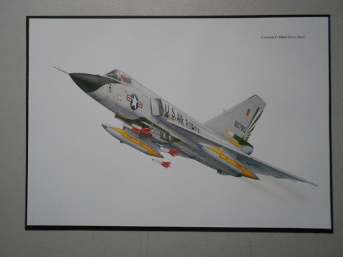 Military aviation print - military,