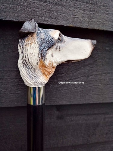 Blue merle collie - blue, 'collie