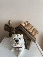 Large West Highland Terrier