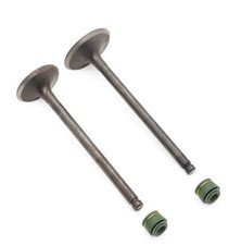 Dirt Racing Valve Set Intake Exhaust & Valve Seals Suzuki Gn Gz Gs DR125 12911-0