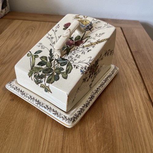 Antique pottery cheese - antique,
