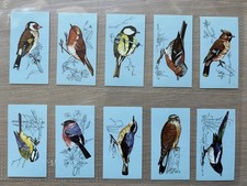 A Complete Set of Tetley Tea Cards British Birds