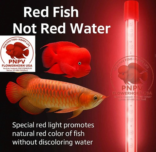 Aqua led light 20inch - led, fish