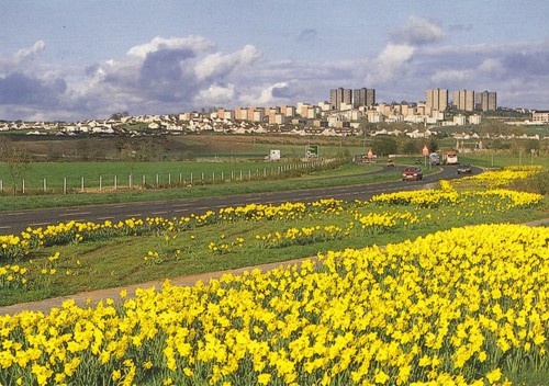 Postcard the city dundee - of,