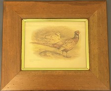 Beautiful 1930’s Art Print