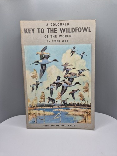 Coloured key the wildfowl - key,
