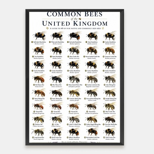 Common bees the united - common,