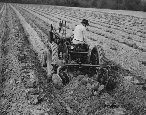 8x10 1940s farmer - 8x10,