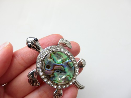 Turtle iridescent abalone - turtle,