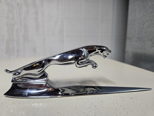 Vintage chrome leaping - chrome, jaguar