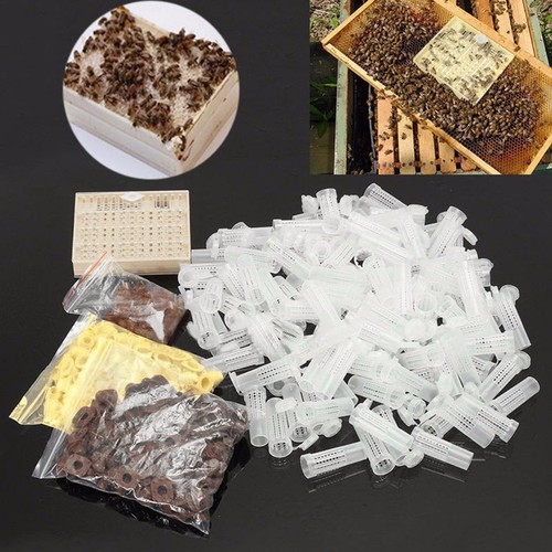 441pcs queen rearing cupkit - queen,