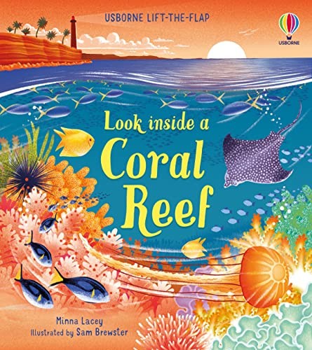 Look inside coral reef - inside,