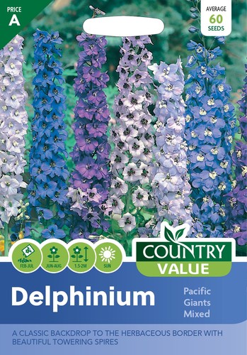Flower seeds delphinium - seeds,