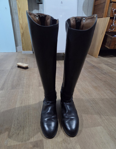 Ariat women tall - women’s, riding