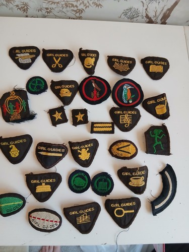 Girl guide brownie - brownie, badges