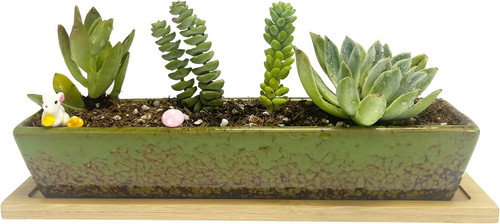 Succulent planter pot - pot,, green