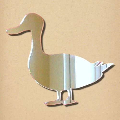Duck mirror - duck,