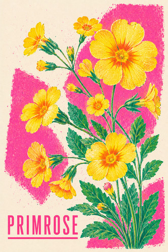 Instrukcjascribe primrose - 39., instrukcjascribe_primrose