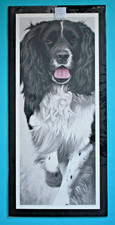 NIGEL HEMMING ARTIST PROOF GICLEE LIMITED EDITION PRINT SPRINGER SPANIEL