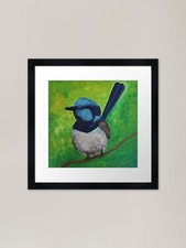 Willie Wagtail Framed Art