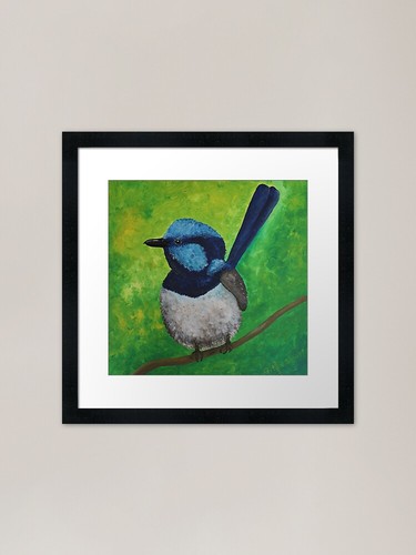 Willie wagtail framed art - willie,