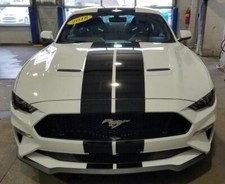 Ford Mustang-Shelby Racing