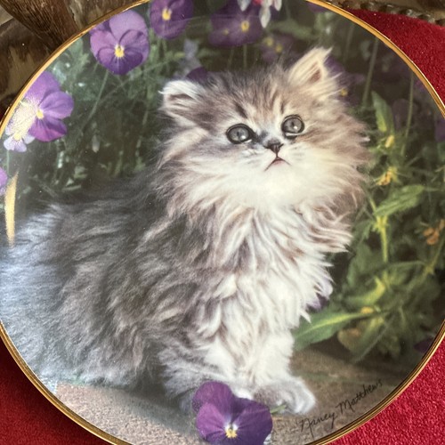 Limited edition franklin mint - limited,