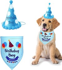 Dog Birthday Bandana Hat Set