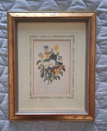 The fairest flowers - fairest, of