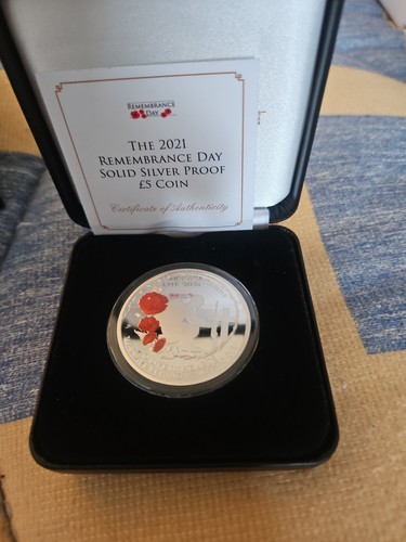 2021 remembrance day - day, solid