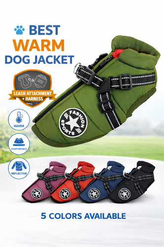 Dog coat waterproof - coat, with