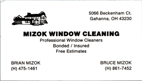 Mizok window cleaning gahanna - window,
