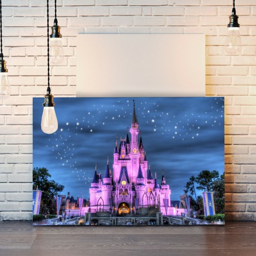 Disney princess castle girl - disney,