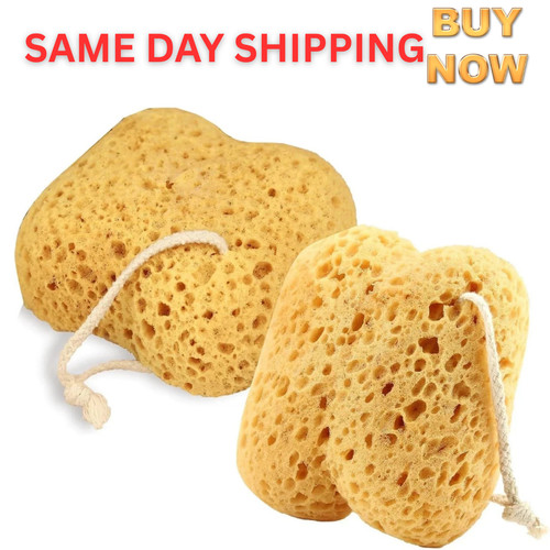 2pcs bath sponge natural sea - 2pcs,