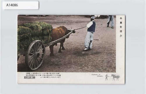 Driving cart korea - *(a)driving, ox