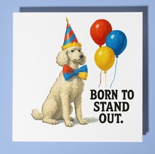 Standard Poodle Birthday Card