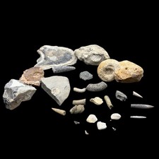1kg British Fossil Mix Dorset