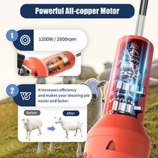 Sheep Shears 750W Professional