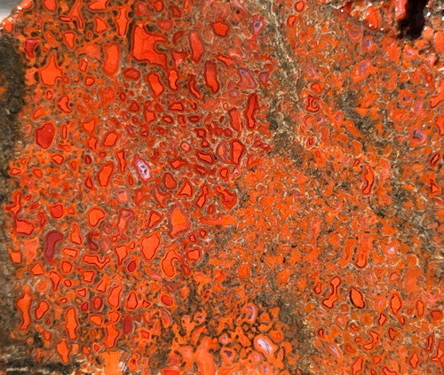 High grade fossil - high,