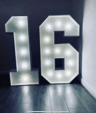 LED LIGHT NUMBERS 4ft - *TO HIRE ONLY*