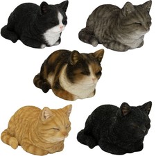 Vivid Arts Cat Dreaming -