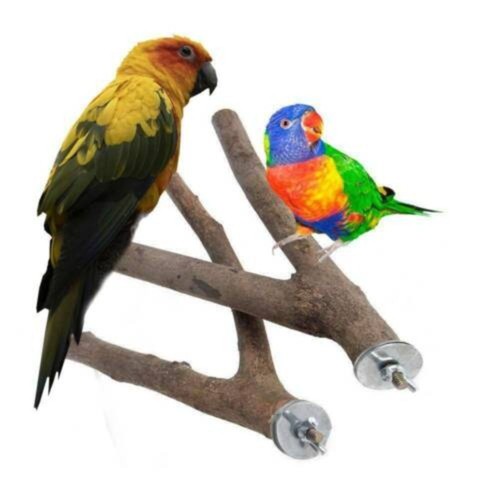 Parrot holder tree branch - tree,