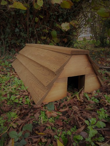 Double entrance wooden - double,